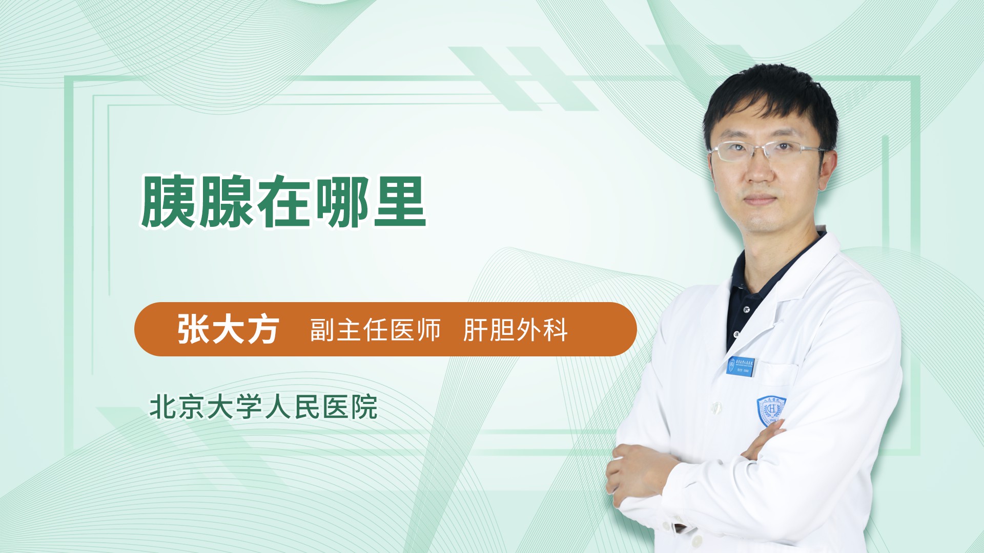 胰腺在哪里