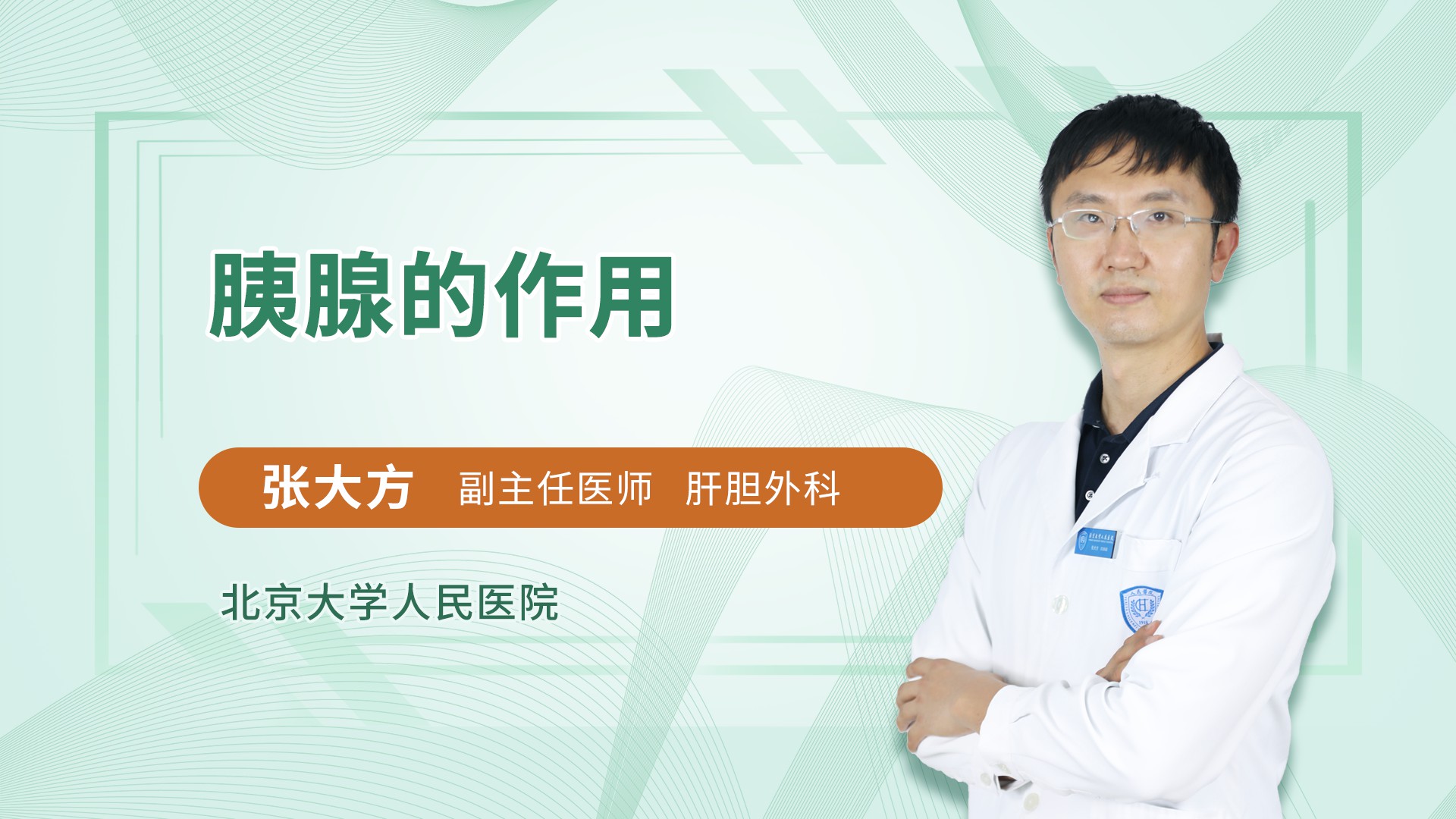 胰腺的作用