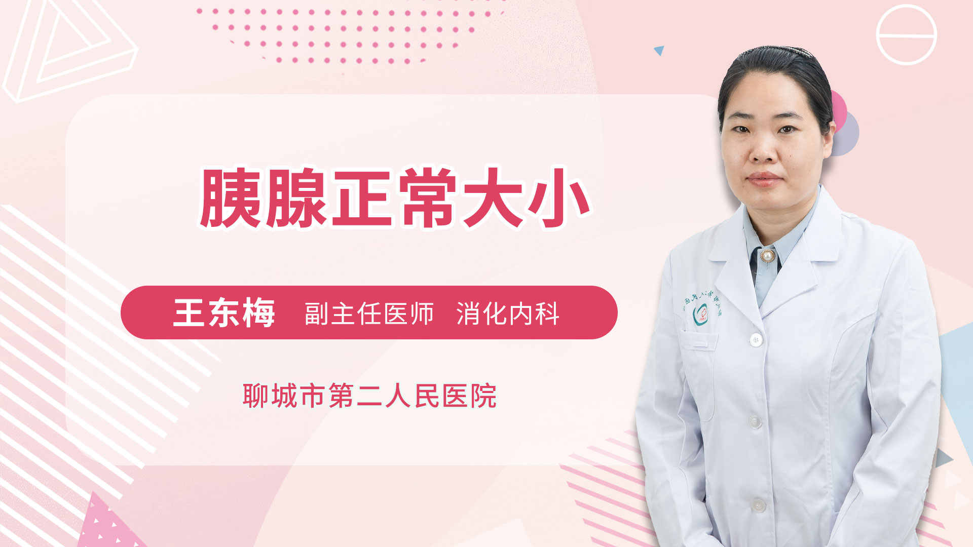 胰腺正常大小