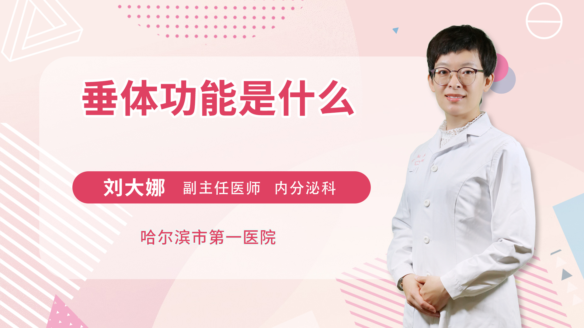 垂体功能是什么