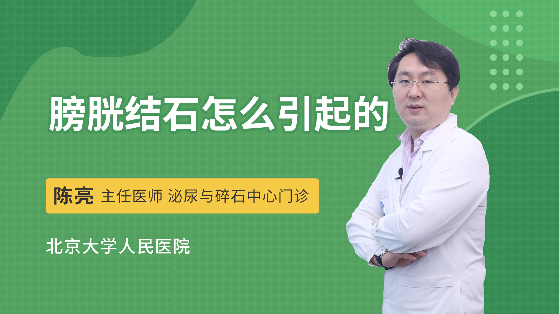 膀胱腫瘤,前列腺腫瘤等疾病,擅長應用輸尿管軟鏡,輸尿管硬鏡及經皮腎