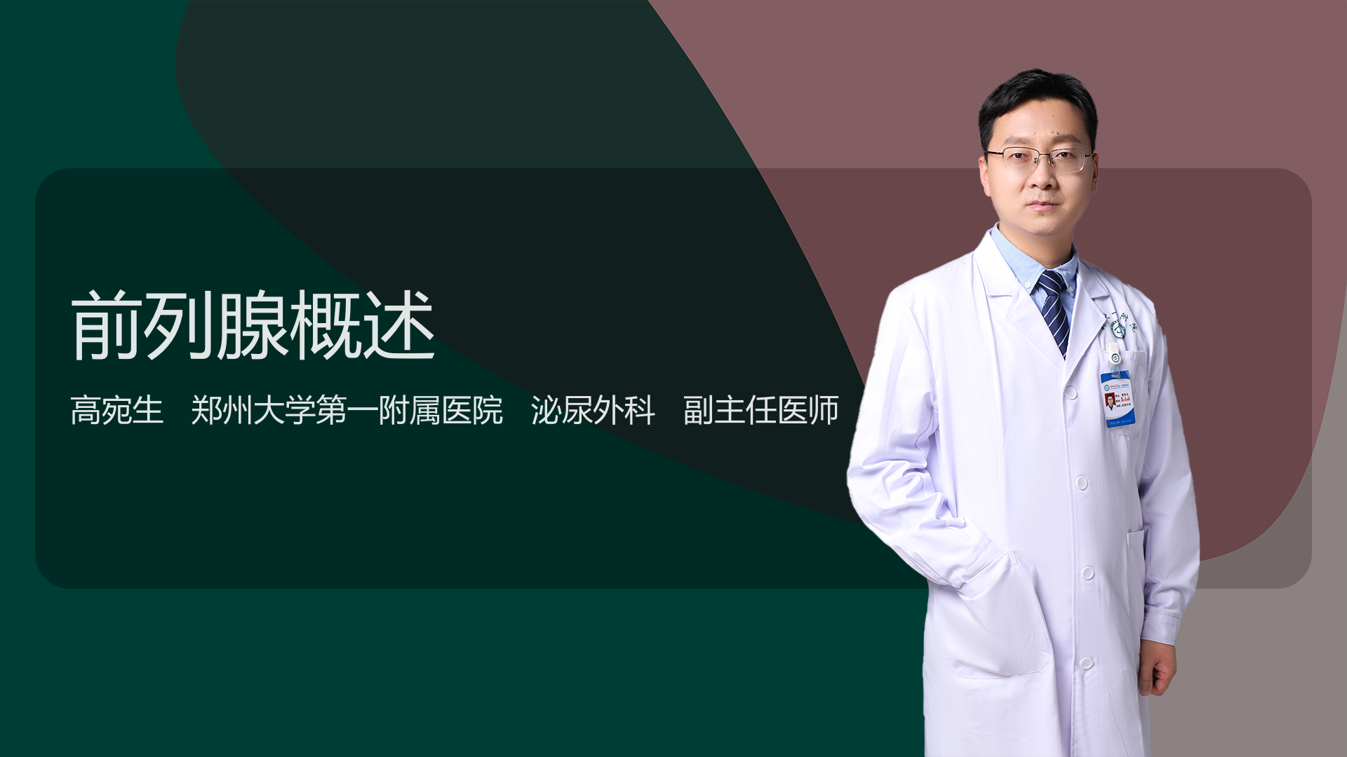 前列腺概述